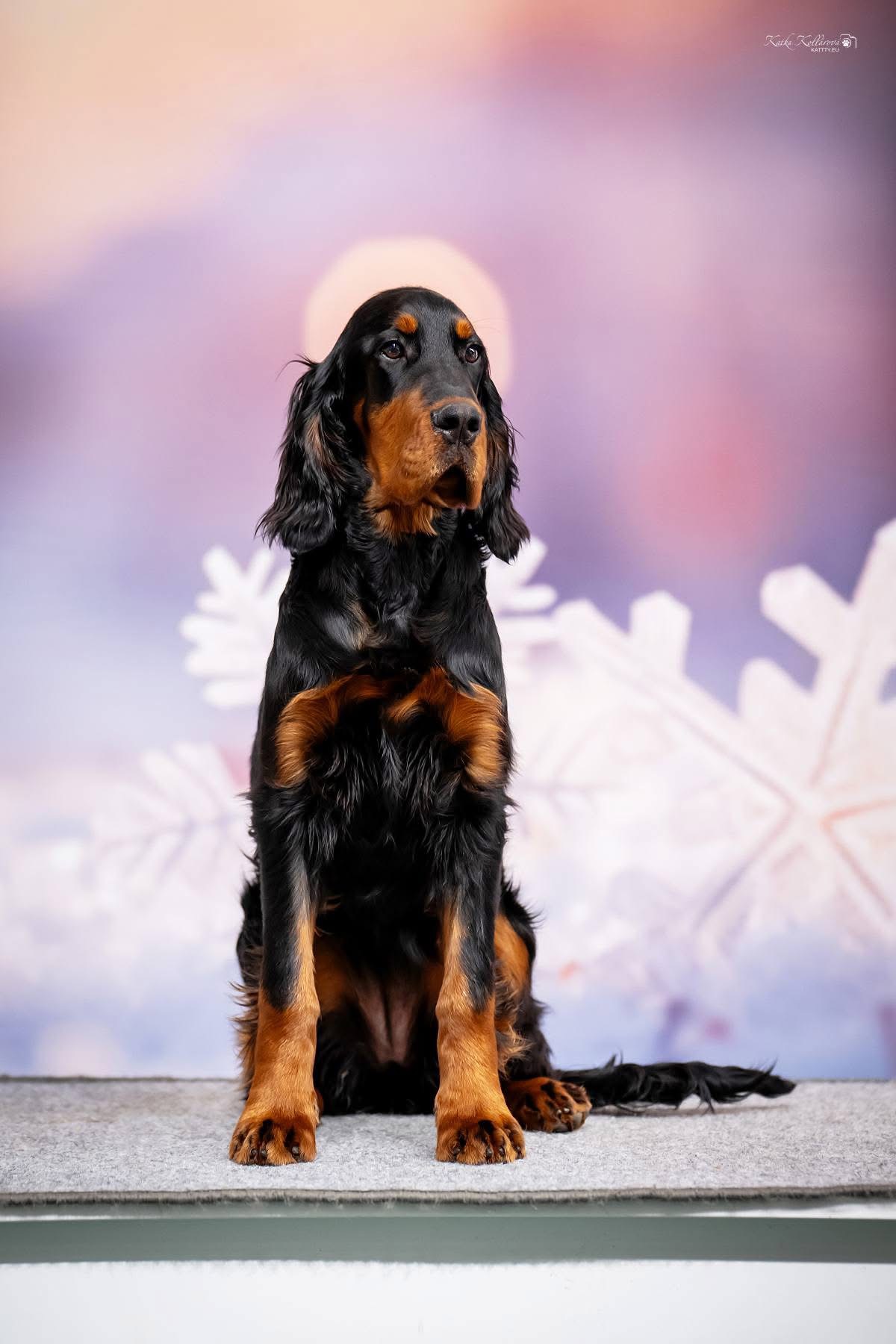 Charade Racing Manon Lescaut